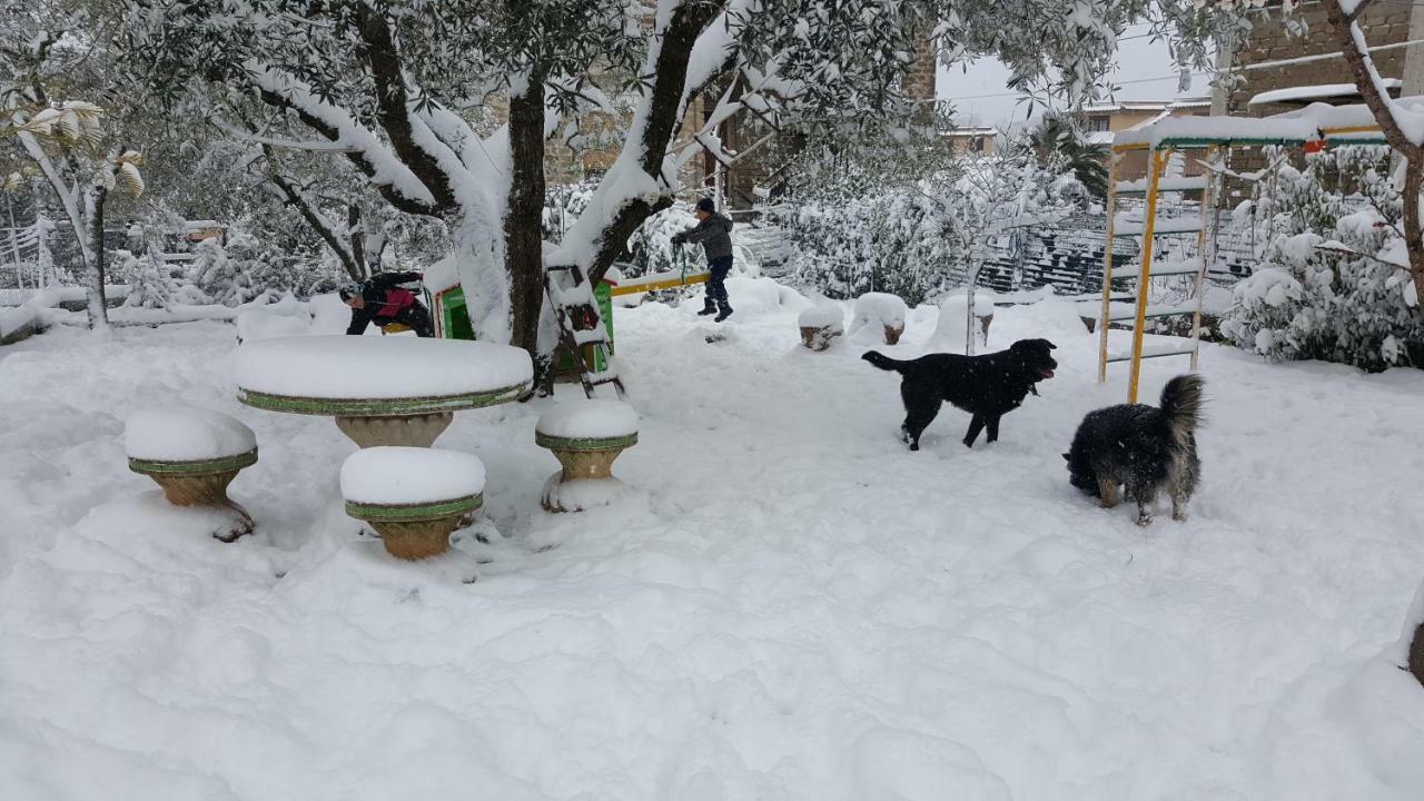 Bed & Breakfast In Sabina Poggio Nativo